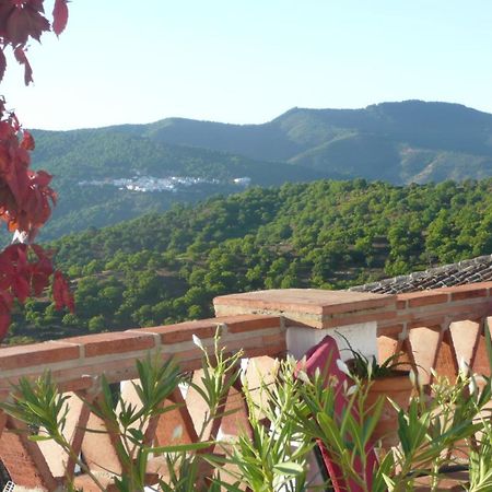 Hotel Los Castanos (Adults Only) Cartajima Zewnętrze zdjęcie