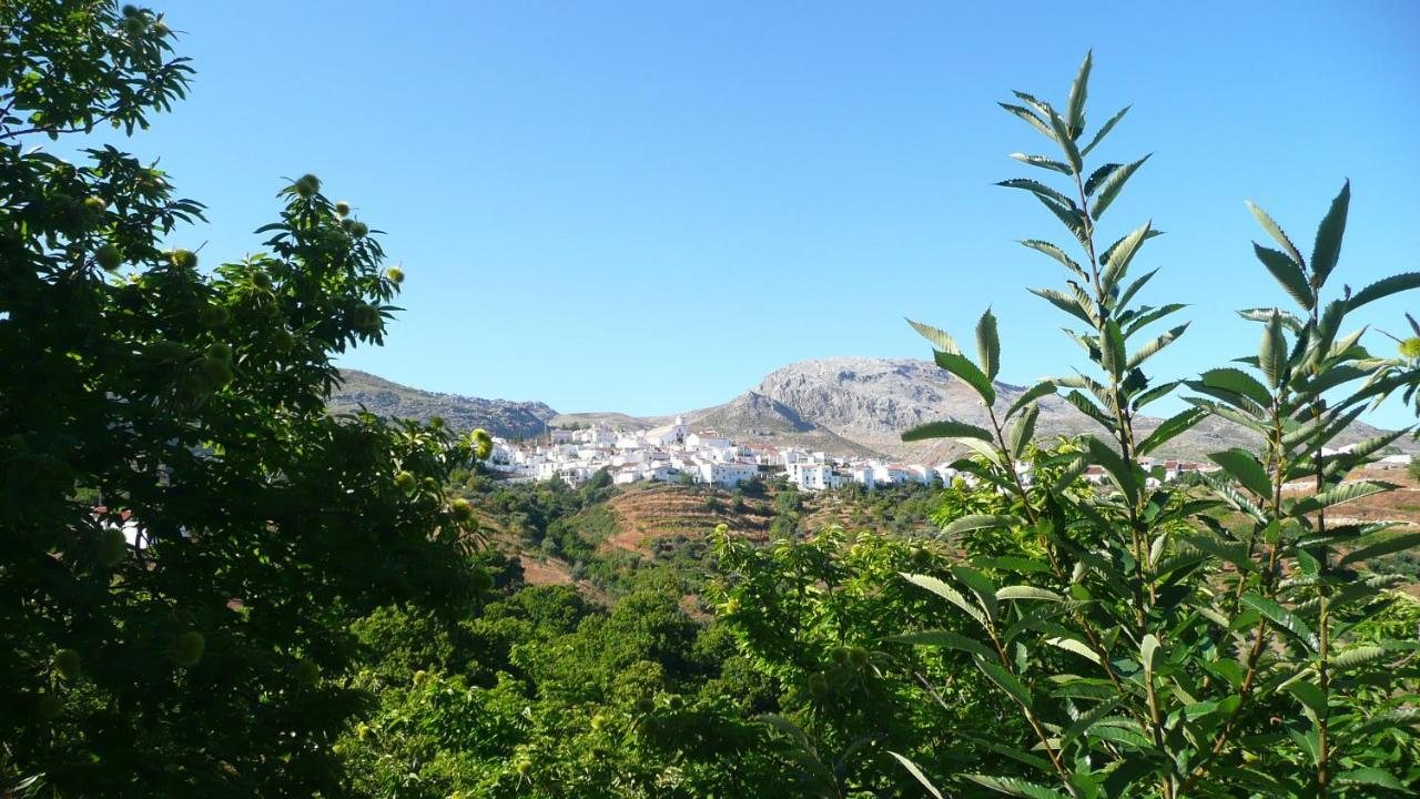 Hotel Los Castanos (Adults Only) Cartajima Zewnętrze zdjęcie